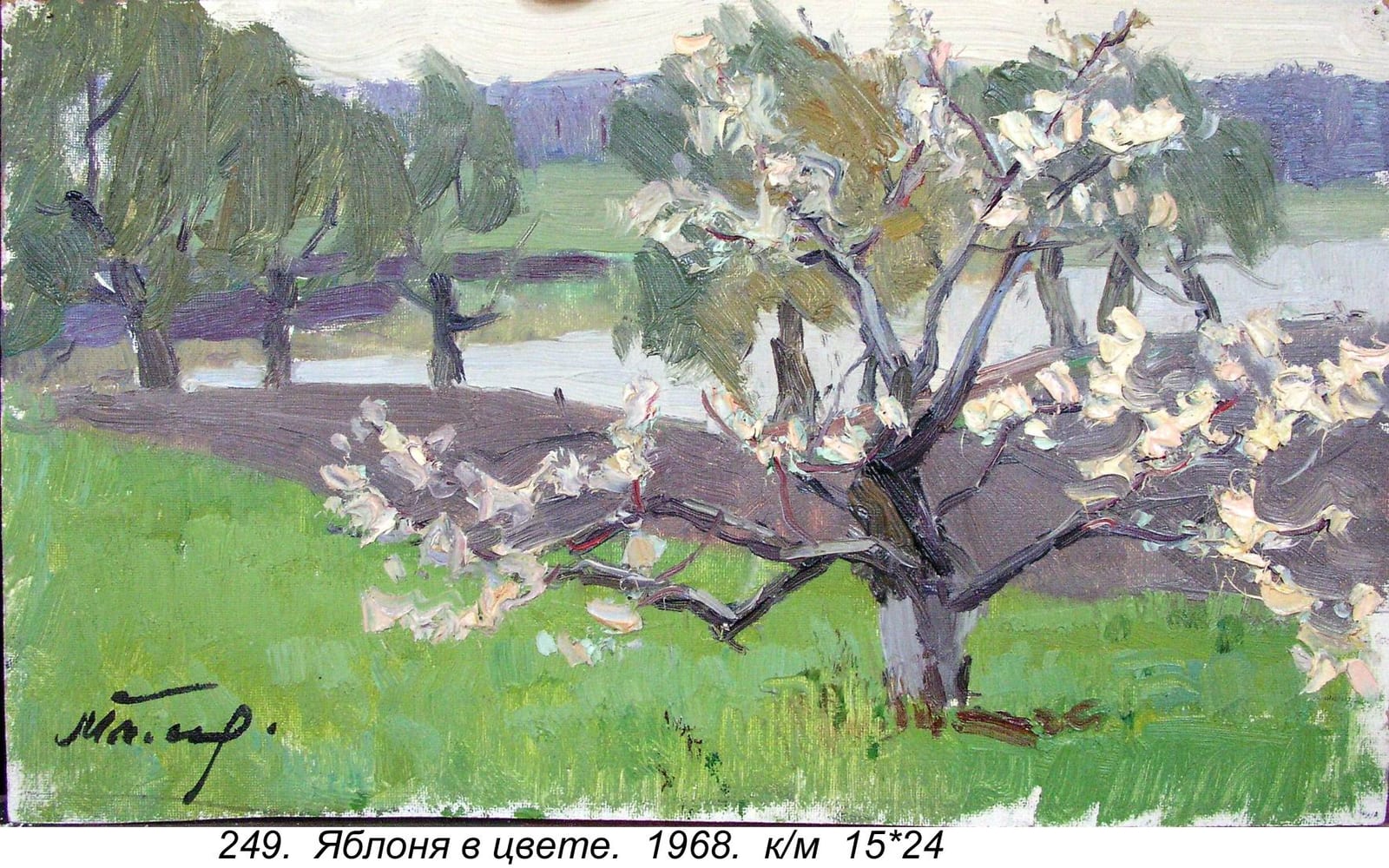Yablonya V Tsvete, 1968