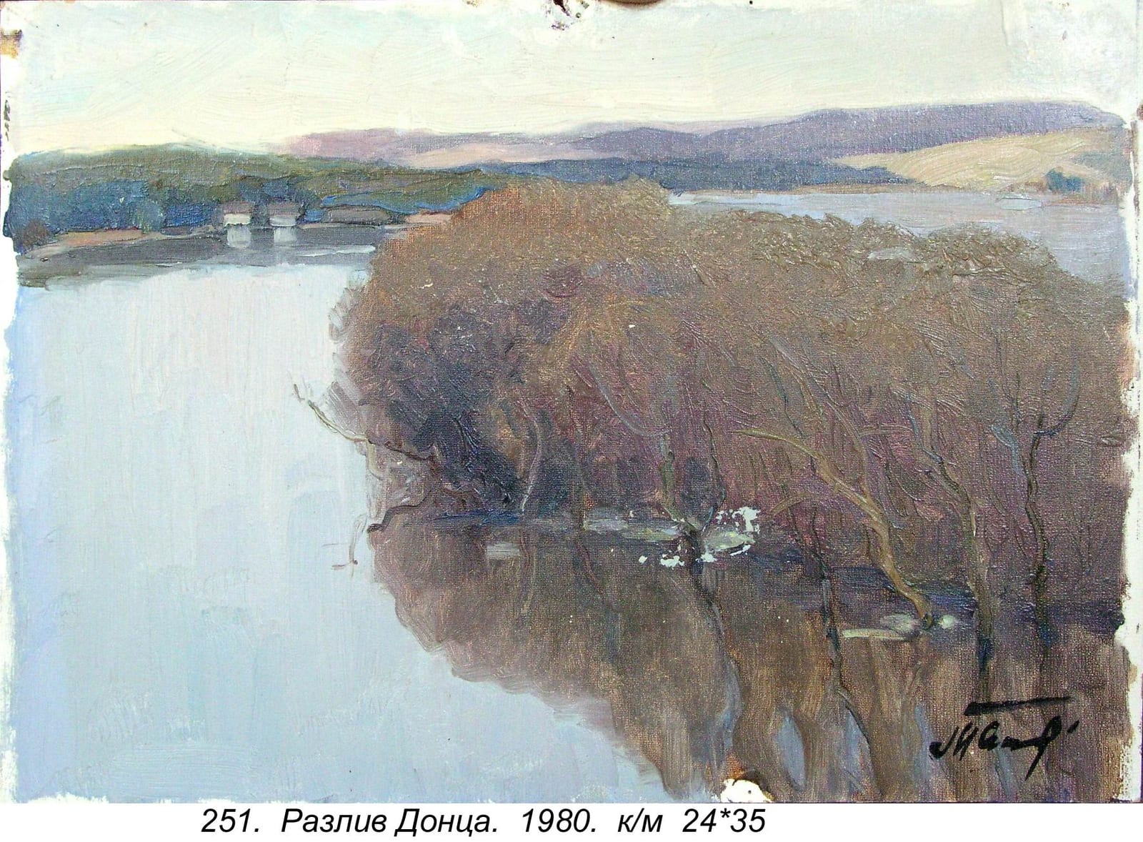 Razliv Dontsa, 1980