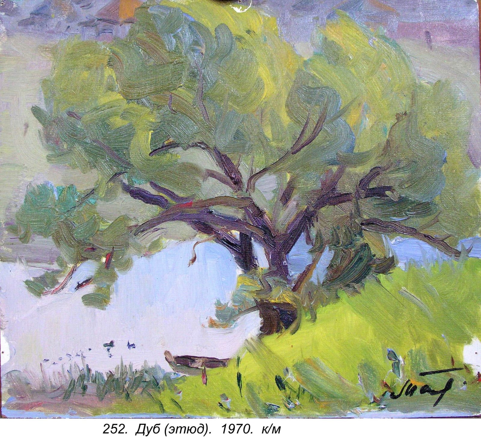 Dub (etyud), 1970