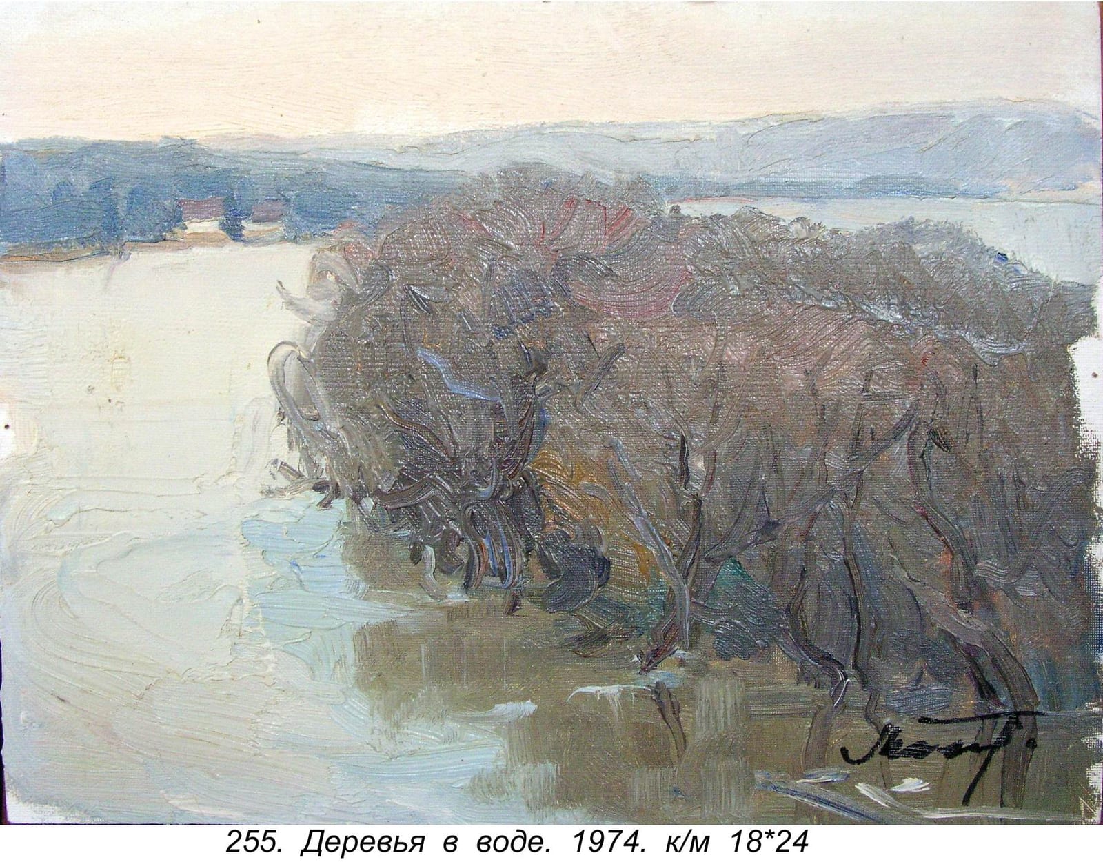 Derevya V Vode, 1974