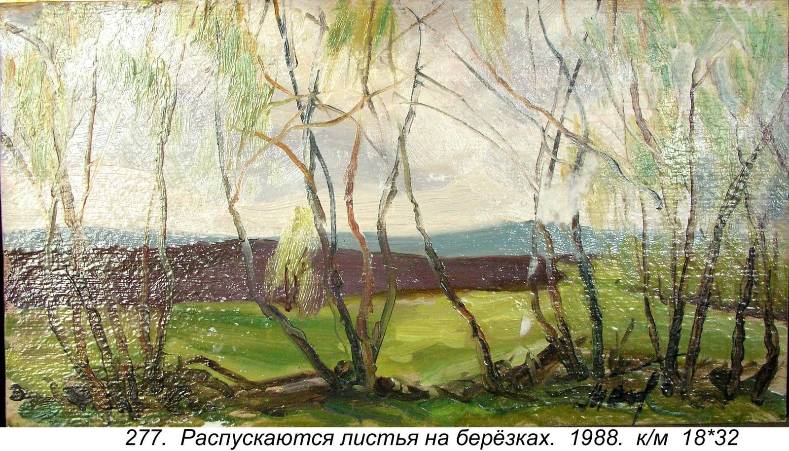 Raspuskayutsya Listya Na Berezkakh, 1988