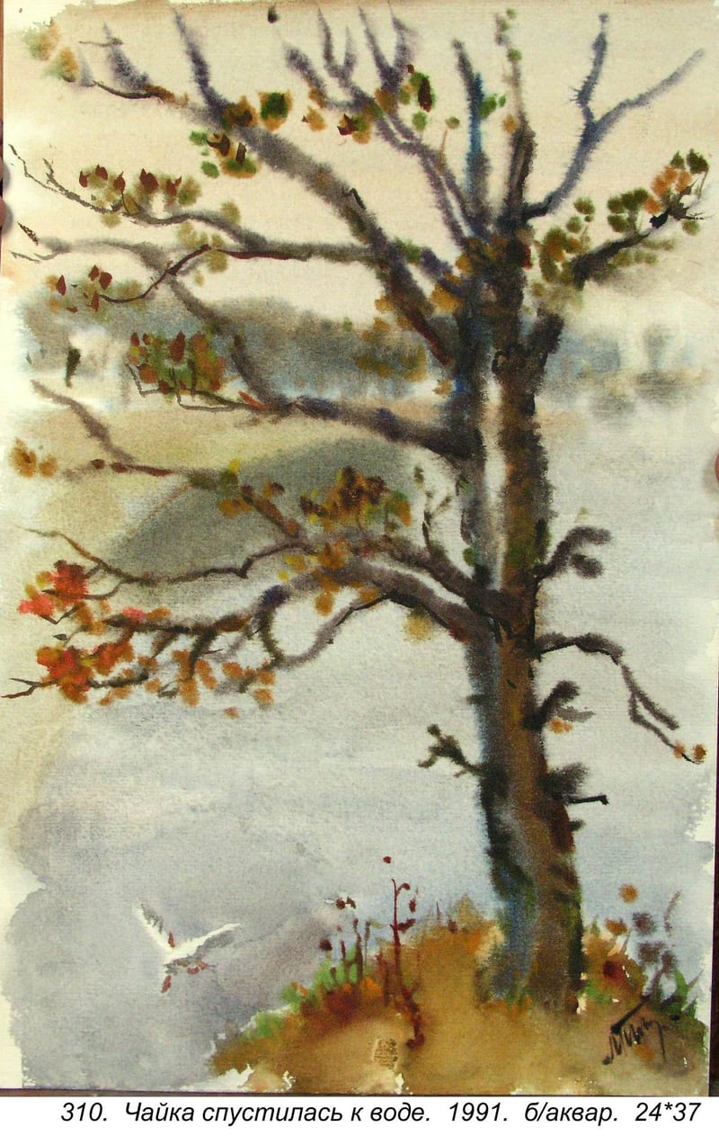 Chayka Spustilas K Vode, 1991