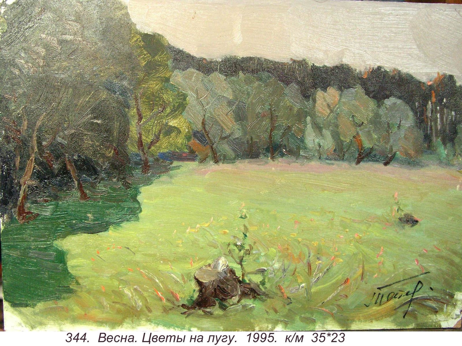Vesna. Tsvety Na Lugu, 1995