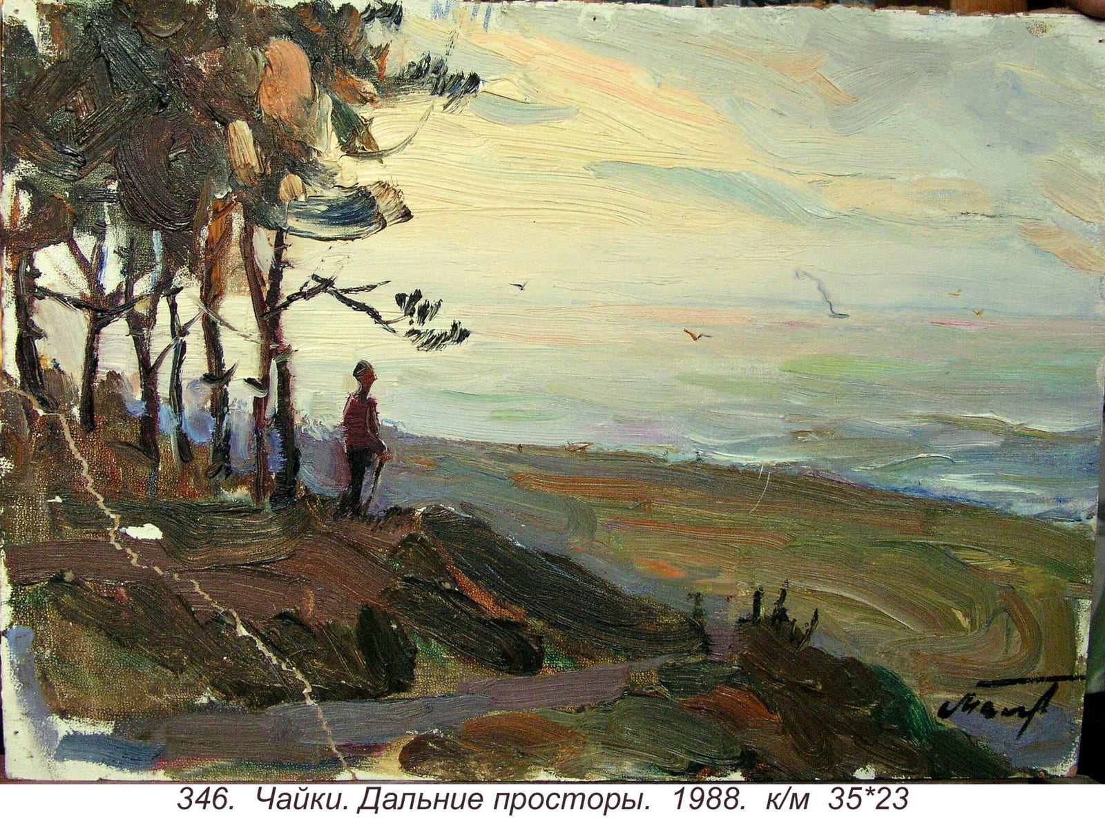 Chayki. Dalnie Prostory, 1988
