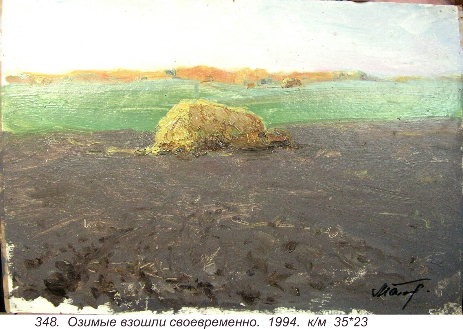 Ozimye Vzoshli Svoevremenno, 1994