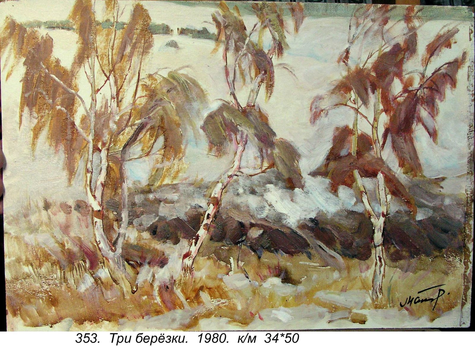 Tri Berezki, 1980