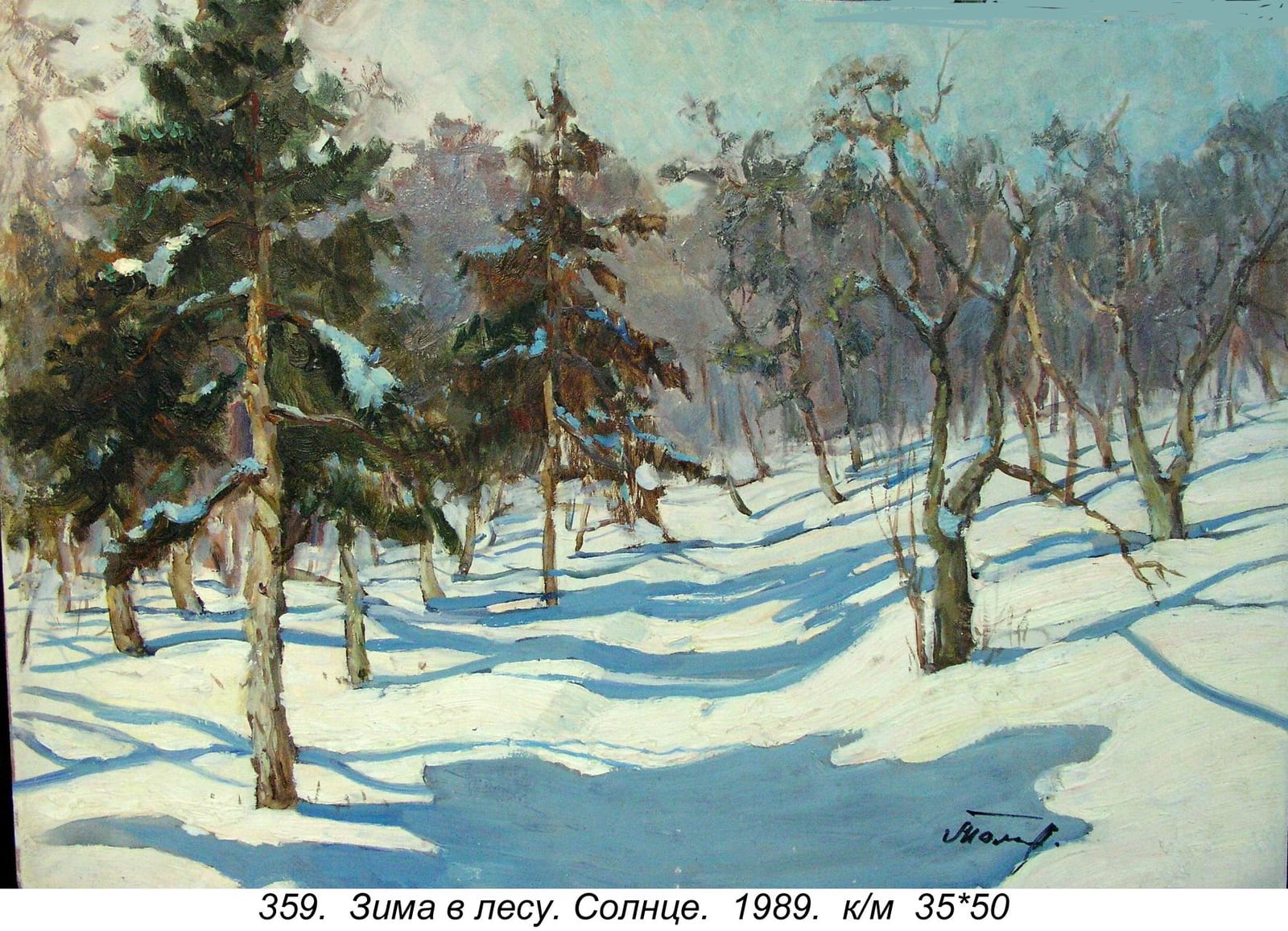 Zima V Lesu. Solntse, 1989